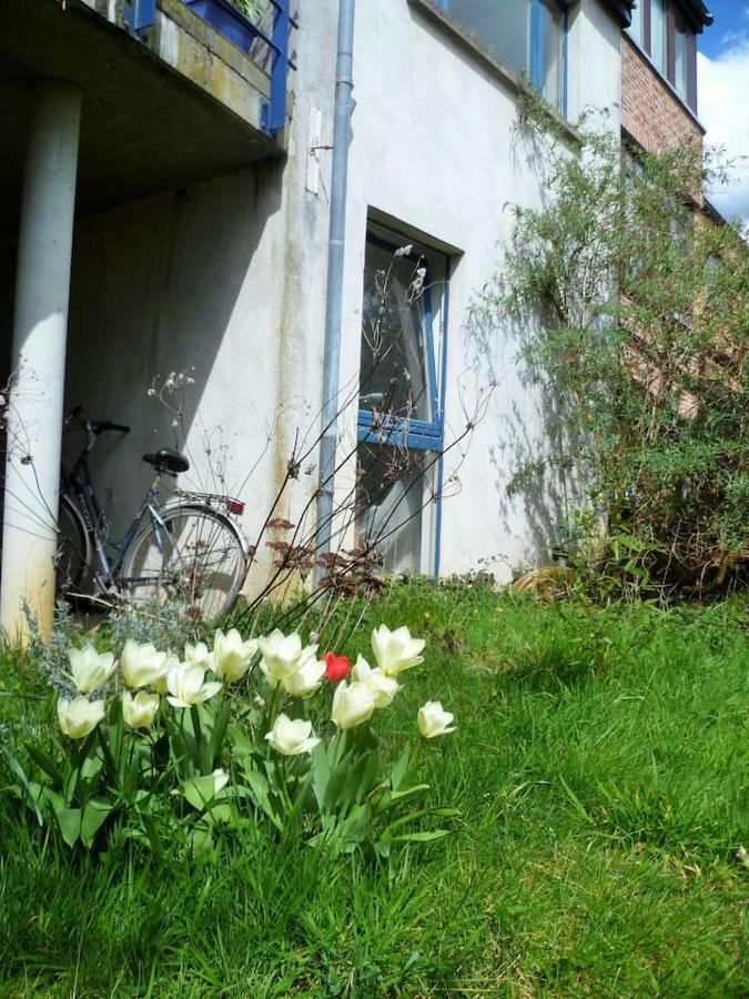 Appartement 2 Chambres Au Calme Et Au Vert, A Louvain-La-Neuve Exteriör bild